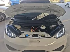 2025 BYD Seagull Smart Driving 305km Freedom, белый — фото 20