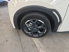 2025 BYD Seagull Smart Driving 305km Freedom, белый — фото 23