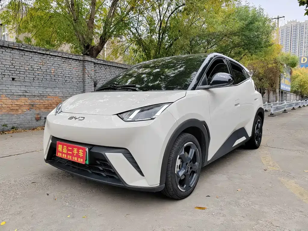 2024 BYD Seagull EV 305km Honor Freedom