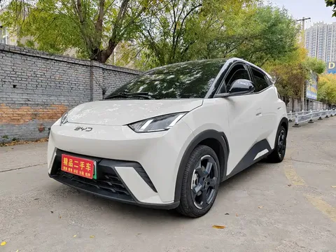2024 BYD Seagull EV 305km Honor Freedom