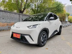 2024 BYD Seagull EV 305km Honor Freedom, белый — фото 1