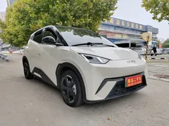 2024 BYD Seagull EV 305km Honor Freedom, белый — фото 3