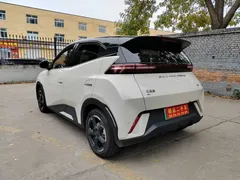2024 BYD Seagull EV 305km Honor Freedom, белый — фото 6