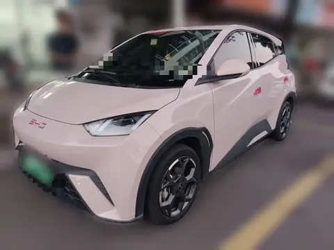 2025 BYD Seagull 305km Freedom