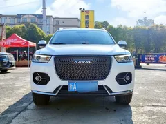 2021 Haval H6 1.5GDIT AT Champion, белый — фото 2