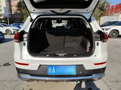 2021 Haval H6 1.5GDIT AT Champion, белый — фото 18