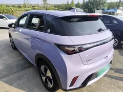 2023 BYD Dolphin 420km Fashion — фото 5