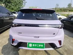 2023 BYD Dolphin 420km Fashion — фото 6