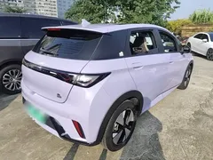 2023 BYD Dolphin 420km Fashion — фото 7