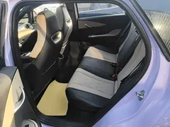 2023 BYD Dolphin 420km Fashion — фото 17