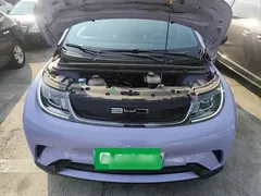 2023 BYD Dolphin 420km Fashion — фото 20