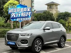 2020 Haval H6 2.0GDIT AT GT Luxury — фото 1