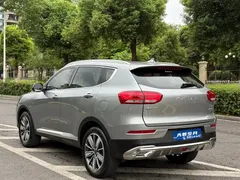 2020 Haval H6 2.0GDIT AT GT Luxury — фото 10