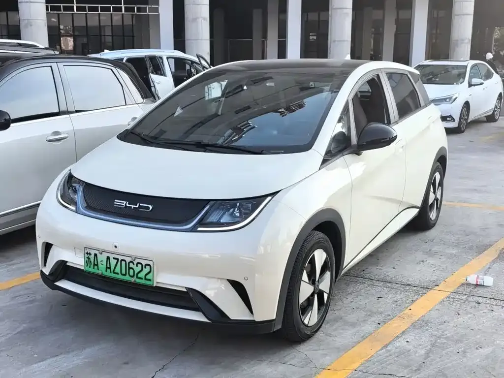 2023 BYD Dolphin 420km Fashion