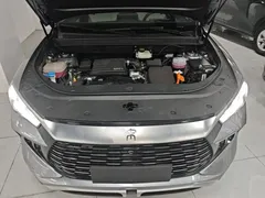 2024 BYD Song Pro Honor DM-i PHEV 71km Navigator — фото 20
