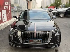 2025 Hongqi H9 2.0T 2WD Qixiang Luxury Business 5, чёрный — фото 4