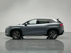 2025 BYD Song L PHEV Smart Driving 112km Exceed — фото 3