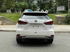 2020 Lexus RX 300 2WD Elite, белый — фото 15