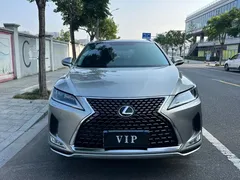 2020 Lexus RX 300 2WD Elite — фото 2