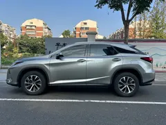 2020 Lexus RX 300 2WD Elite — фото 14