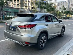 2020 Lexus RX 300 2WD Elite — фото 17