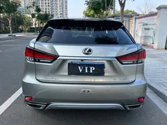 2020 Lexus RX 300 2WD Elite — фото 18