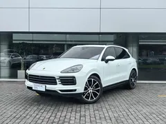 2022 Porsche Cayenne 3.0T Platinum, белый — фото 1