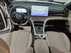 2023 BYD Song Pro Champion DM-i PHEV 110KM Excellence, белый — фото 10