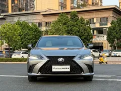 2021 Lexus ES 300h F SPORT — фото 2