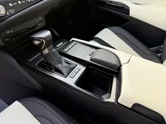 2021 Lexus ES 300h F SPORT — фото 14