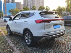 2021 Haval H6 3rd Gen 1.5T AT 2WD Pro, белый — фото 13