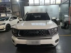 2023 Haval Dargo PLUS 2.0T 2WD Plus, белый — фото 3