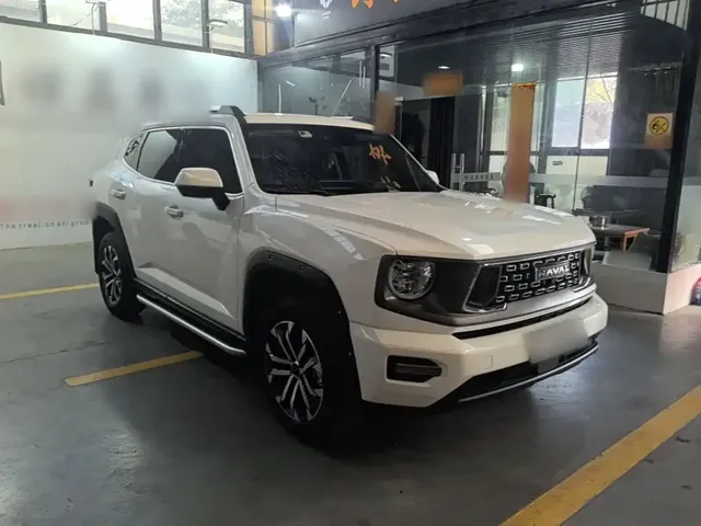 2023 Haval Dargo PLUS 2.0T 2WD Plus