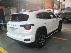 2023 Haval Dargo PLUS 2.0T 2WD Plus, белый — фото 7