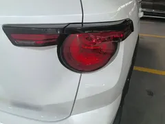 2023 Haval Dargo PLUS 2.0T 2WD Plus, белый — фото 8
