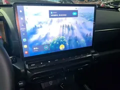 2023 Haval Dargo PLUS 2.0T 2WD Plus, белый — фото 13