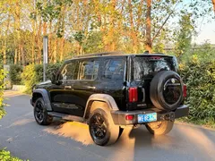 2021 Tank 300 Off-road 2.0T Conqueror, чёрный — фото 2