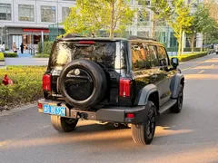 2021 Tank 300 Off-road 2.0T Conqueror, чёрный — фото 4