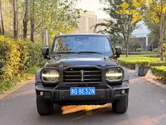 2021 Tank 300 Off-road 2.0T Conqueror, чёрный — фото 5