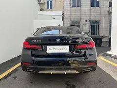 2021 BMW 5 Series 525Li M Sport Package, чёрный — фото 5