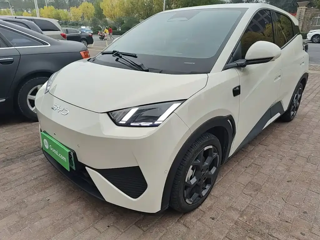 2025 BYD Seagull Smart Driving 305km Freedom