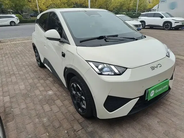 2025 BYD Seagull Smart Driving 305km Freedom