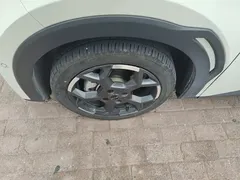 2025 BYD Seagull Smart Driving 305km Freedom, белый — фото 23
