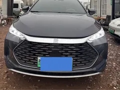 2024 BYD Tang DM-i PHEV 112KM Honor Edition Premium, чёрный — фото 2