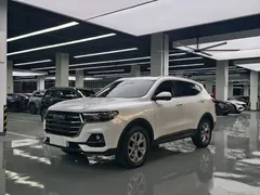 2021 Haval H6 1.5GDIT AT Champion, белый — фото 1