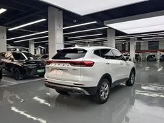 2021 Haval H6 1.5GDIT AT Champion, белый — фото 13