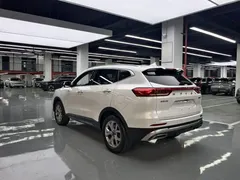 2021 Haval H6 1.5GDIT AT Champion, белый — фото 15