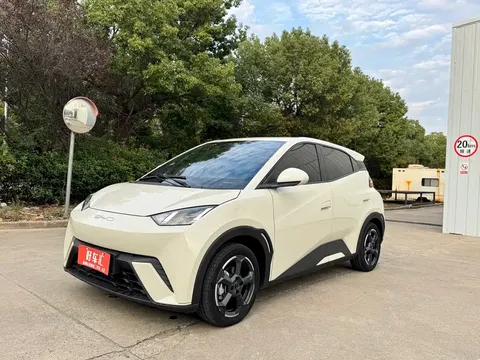 2023 BYD Seagull Freedom