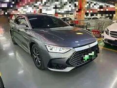 2023 BYD Han PHEV 121km Champion Elite — фото 2