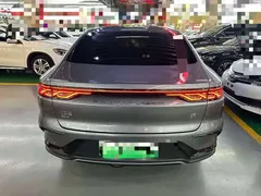 2023 BYD Han PHEV 121km Champion Elite — фото 5